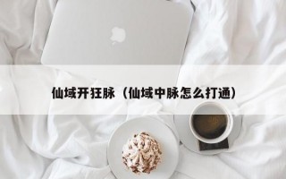 仙域开狂脉（仙域中脉怎么打通）